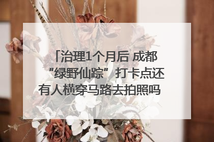 治理1个月后 成都“绿野仙踪”打卡点还有人横穿马路去拍照吗？｜民情瞭望