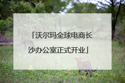 沃尔玛全球电商长沙办公室正式开业