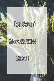 沈晓明在涟水娄底段巡河