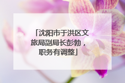 沈阳市于洪区文旅局副局长彭勃，职务有调整