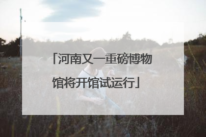 河南又一重磅博物馆将开馆试运行