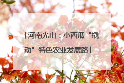 河南光山：小西瓜“撬动”特色农业发展路