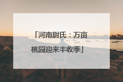 河南尉氏：万亩桃园迎来丰收季
