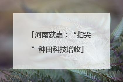 河南获嘉：“指尖”种田科技增收