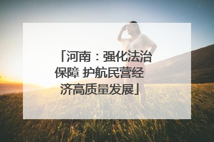河南：强化法治保障 护航民营经济高质量发展
