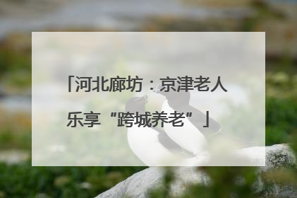 河北廊坊：京津老人乐享“跨城养老”