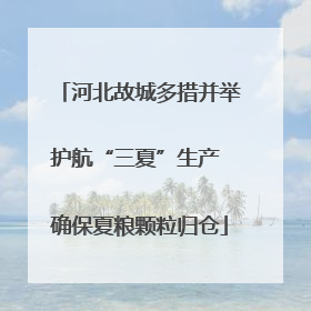 河北故城多措并举护航“三夏”生产 确保夏粮颗粒归仓