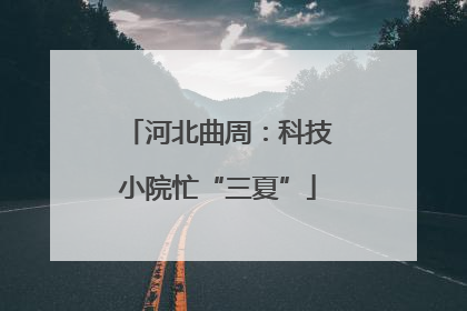 河北曲周：科技小院忙“三夏”