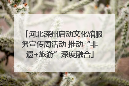 河北深州启动文化馆服务宣传周活动 推动“非遗+旅游”深度融合