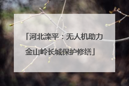 河北滦平：无人机助力金山岭长城保护修缮