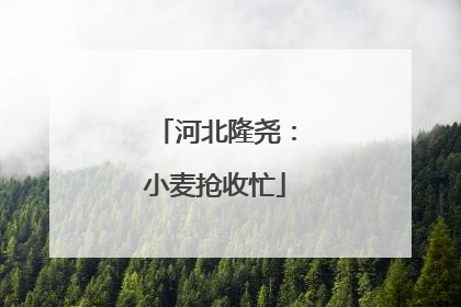 河北隆尧：小麦抢收忙