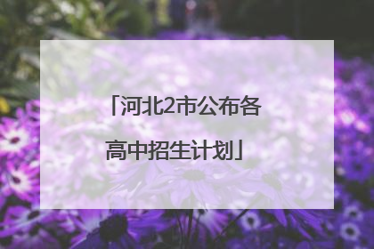 河北2市公布各高中招生计划