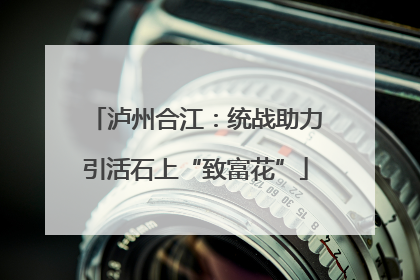泸州合江：统战助力引活石上“致富花”