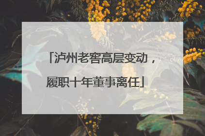 泸州老窖高层变动，履职十年董事离任