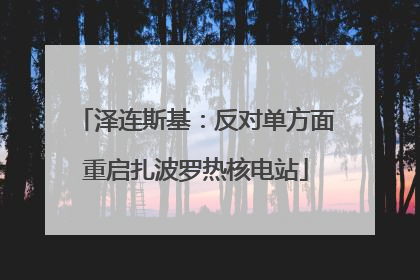 泽连斯基：反对单方面重启扎波罗热核电站