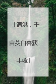 泗洪：千亩茭白喜获丰收