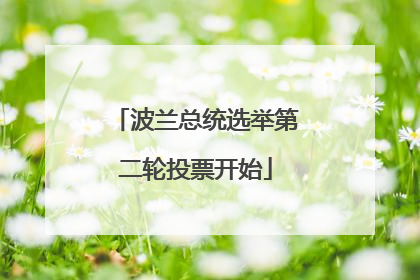 波兰总统选举第二轮投票开始