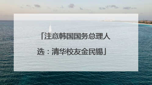 注意韩国国务总理人选：清华校友金民锡