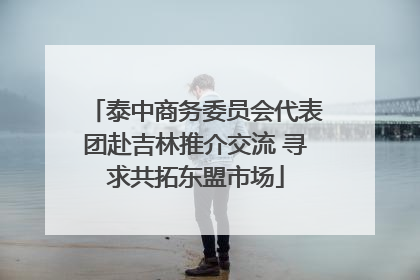 泰中商务委员会代表团赴吉林推介交流 寻求共拓东盟市场