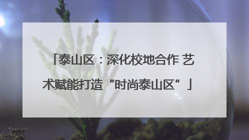 泰山区：深化校地合作 艺术赋能打造“时尚泰山区”