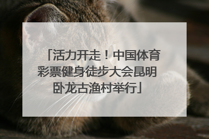 活力开走！中国体育彩票健身徒步大会昆明卧龙古渔村举行