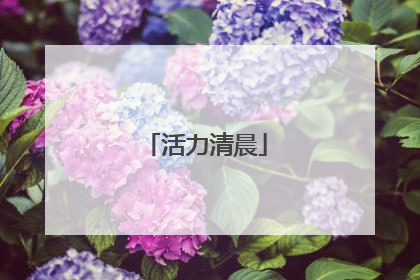 活力清晨