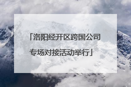 洛阳经开区跨国公司专场对接活动举行
