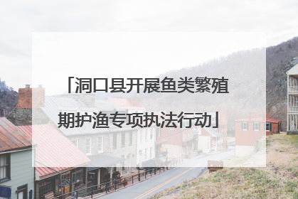 洞口县开展鱼类繁殖期护渔专项执法行动