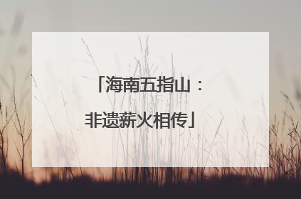 海南五指山：非遗薪火相传