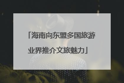 海南向东盟多国旅游业界推介文旅魅力