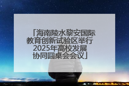 海南陵水黎安国际教育创新试验区举行2025年高校发展协同圆桌会会议