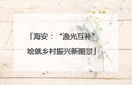 海安：“渔光互补” 绘就乡村振兴新图景