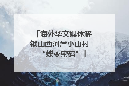 海外华文媒体解锁山西河津小山村“蝶变密码”