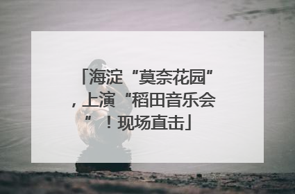 海淀“莫奈花园”，上演“稻田音乐会”！现场直击