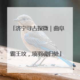 济宁寻古探微｜曲阜霸王坟，项羽魂归处