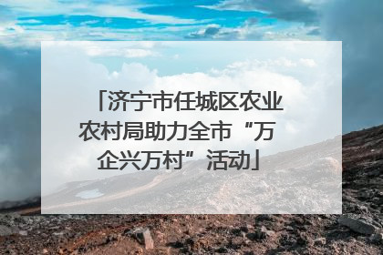 济宁市任城区农业农村局助力全市“万企兴万村”活动