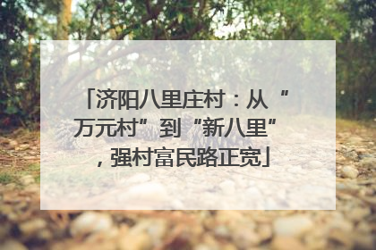 济阳八里庄村：从“万元村”到“新八里”，强村富民路正宽