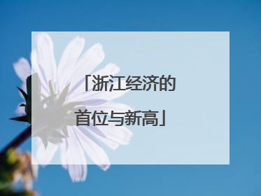 浙江经济的首位与新高