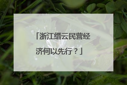 浙江缙云民营经济何以先行？
