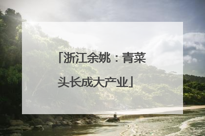 浙江余姚：青菜头长成大产业
