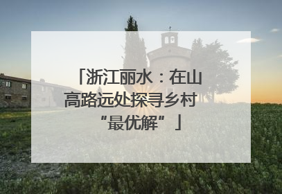 浙江丽水：在山高路远处探寻乡村“最优解”