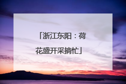 浙江东阳：荷花盛开采摘忙
