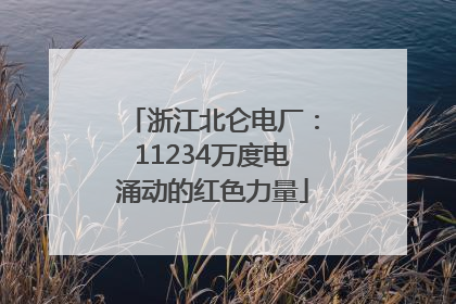 浙江北仑电厂：11234万度电涌动的红色力量