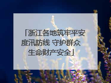 浙江各地筑牢平安度汛防线 守护群众生命财产安全