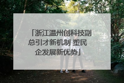浙江温州创科技副总引才新机制 塑民企发展新优势