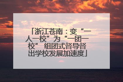 浙江苍南：变“一人一校”为“一团一校” 组团式督导督出学校发展加速度