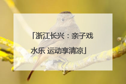 浙江长兴：亲子戏水乐 运动享清凉