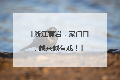 浙江黄岩：家门口，越来越有戏！