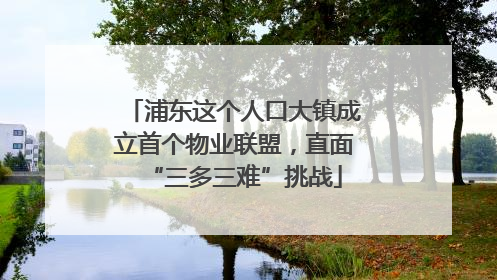 浦东这个人口大镇成立首个物业联盟，直面“三多三难”挑战