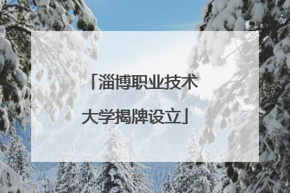 淄博职业技术大学揭牌设立